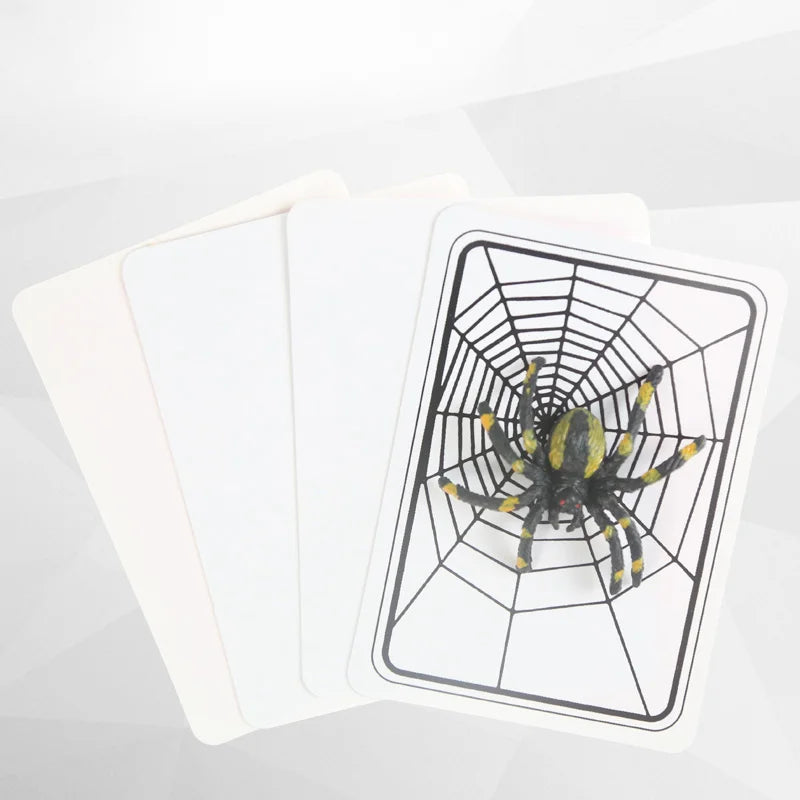 Spider And Net Magic Trick