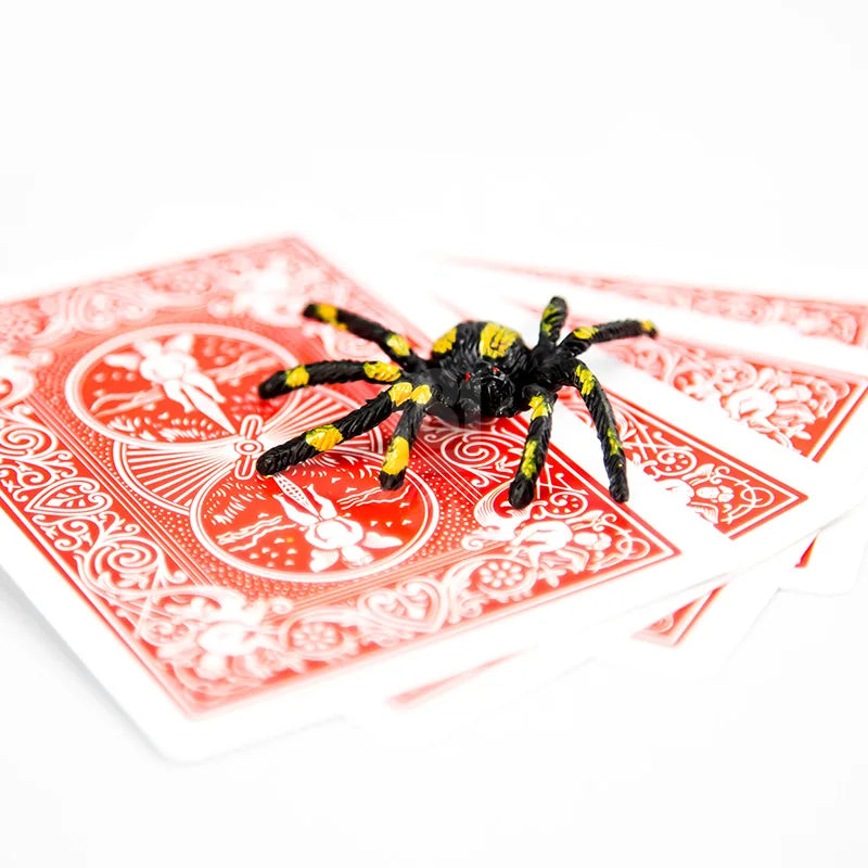 Spider And Net Magic Trick