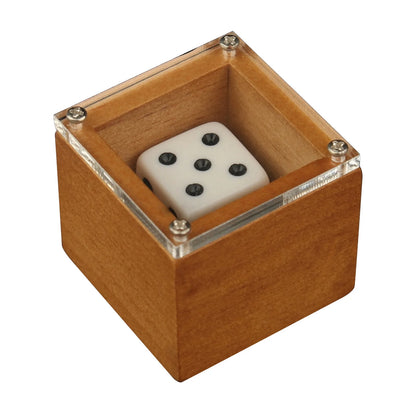 Magic Dice Trick Dot Number Change